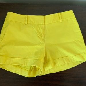 Ann Taylor Shorts
